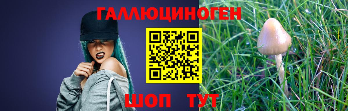 Псилоцибиновые грибы ЛСД Орёл